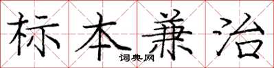 龐中華標本兼治楷書怎么寫