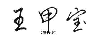 駱恆光王甲寶行書個性簽名怎么寫