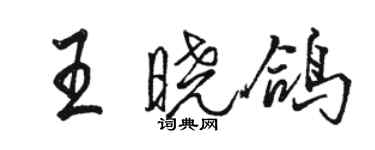 駱恆光王曉鴿行書個性簽名怎么寫