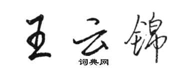 駱恆光王雲錦行書個性簽名怎么寫