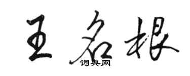駱恆光王名根行書個性簽名怎么寫
