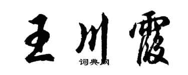 胡問遂王川霞行書個性簽名怎么寫