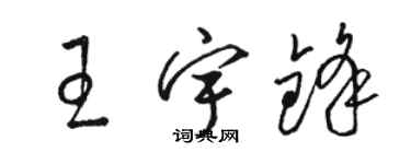 駱恆光王宇鋒草書個性簽名怎么寫