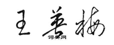 駱恆光王英梅草書個性簽名怎么寫