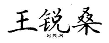 丁謙王銳桑楷書個性簽名怎么寫