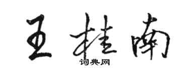 駱恆光王桂南行書個性簽名怎么寫