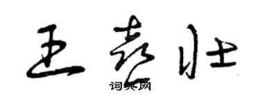 曾慶福王喜壯草書個性簽名怎么寫