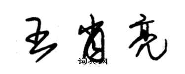 朱錫榮王肖亮草書個性簽名怎么寫