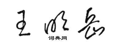 駱恆光王明岳草書個性簽名怎么寫