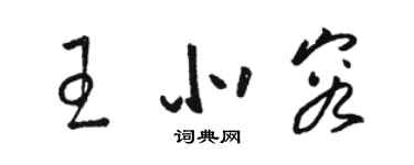 駱恆光王北容草書個性簽名怎么寫