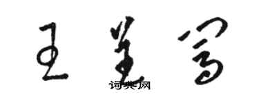 駱恆光王呈闖草書個性簽名怎么寫