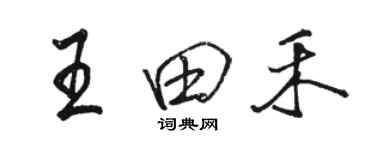 駱恆光王田禾行書個性簽名怎么寫