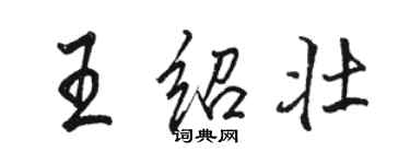 駱恆光王紹壯行書個性簽名怎么寫