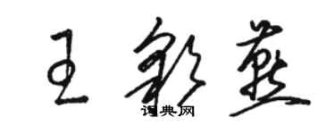 駱恆光王彩燕草書個性簽名怎么寫