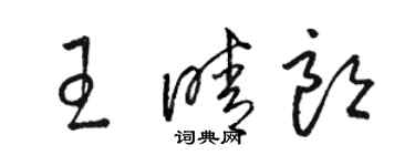 駱恆光王晴朗草書個性簽名怎么寫