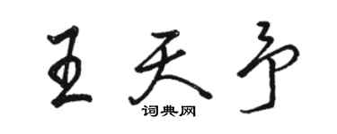 駱恆光王天予行書個性簽名怎么寫