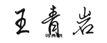 駱恆光王青岩行書個性簽名怎么寫