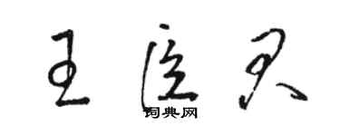 駱恆光王臣君草書個性簽名怎么寫