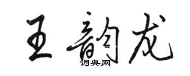駱恆光王韻龍行書個性簽名怎么寫