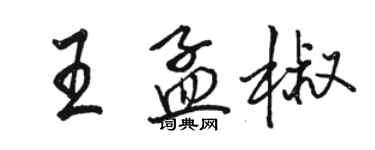 駱恆光王孟椒行書個性簽名怎么寫