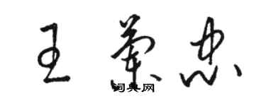 駱恆光王蘭忠草書個性簽名怎么寫