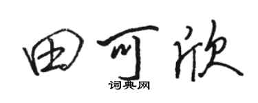 駱恆光田可欣行書個性簽名怎么寫