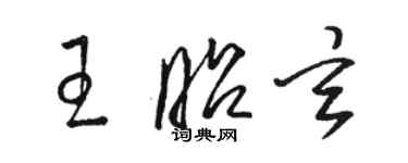 駱恆光王昭玄草書個性簽名怎么寫