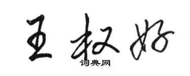 駱恆光王權好行書個性簽名怎么寫