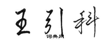 駱恆光王引科行書個性簽名怎么寫