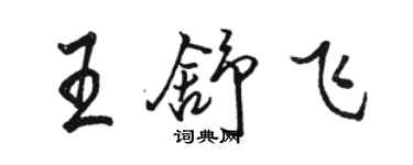 駱恆光王舒飛行書個性簽名怎么寫