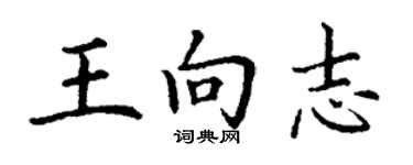 丁謙王向志楷書個性簽名怎么寫