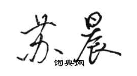 駱恆光蘇晨行書個性簽名怎么寫