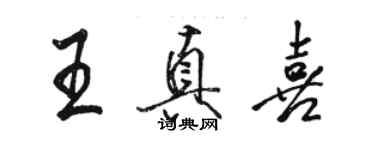 駱恆光王真喜行書個性簽名怎么寫