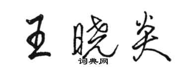 駱恆光王曉炎行書個性簽名怎么寫