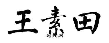 翁闓運王素田楷書個性簽名怎么寫