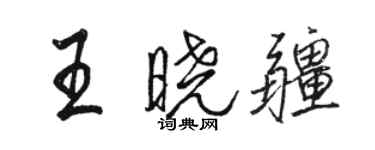 駱恆光王曉疆行書個性簽名怎么寫