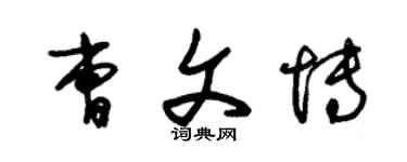 朱錫榮曹文博草書個性簽名怎么寫