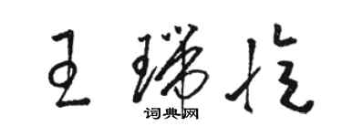 駱恆光王瑞憶草書個性簽名怎么寫