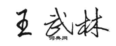 駱恆光王武林行書個性簽名怎么寫