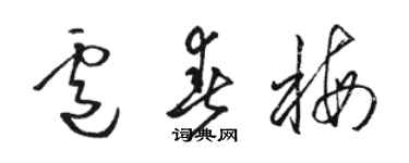 駱恆光盧春梅草書個性簽名怎么寫