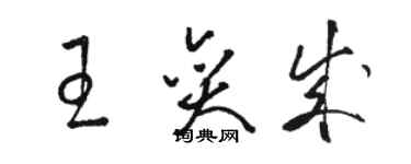 駱恆光王奕成草書個性簽名怎么寫