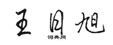 駱恆光王日旭行書個性簽名怎么寫