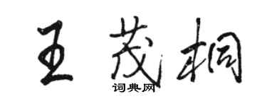 駱恆光王茂桐行書個性簽名怎么寫