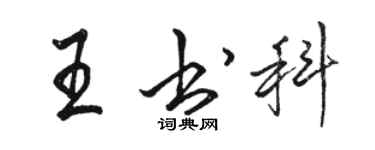 駱恆光王書科行書個性簽名怎么寫