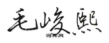 駱恆光毛峻熙行書個性簽名怎么寫