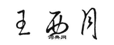 駱恆光王西月草書個性簽名怎么寫