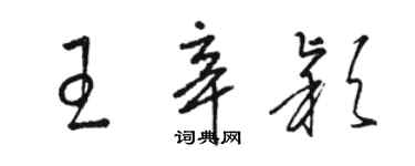 駱恆光王辛穎草書個性簽名怎么寫