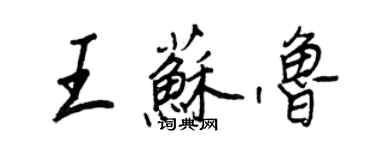 王正良王蘇魯行書個性簽名怎么寫