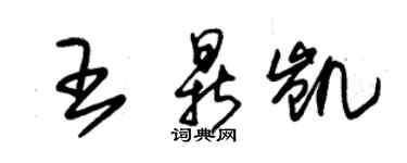 朱錫榮王鼎凱草書個性簽名怎么寫