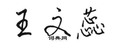 駱恆光王文蕊行書個性簽名怎么寫